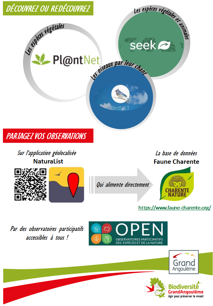 Découvrez les espèces locales et partagez vos observations